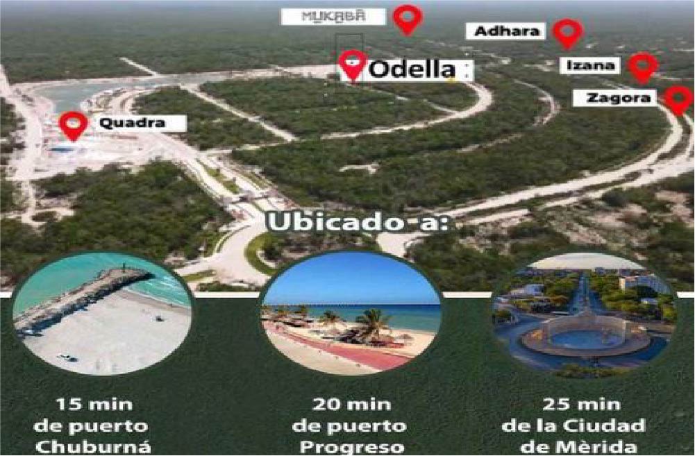 Odella – Lotes de  Inversión