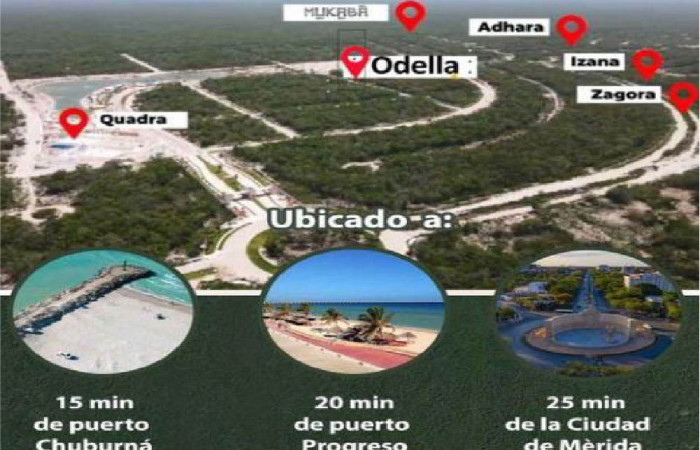 Odella – Lotes de  Inversión